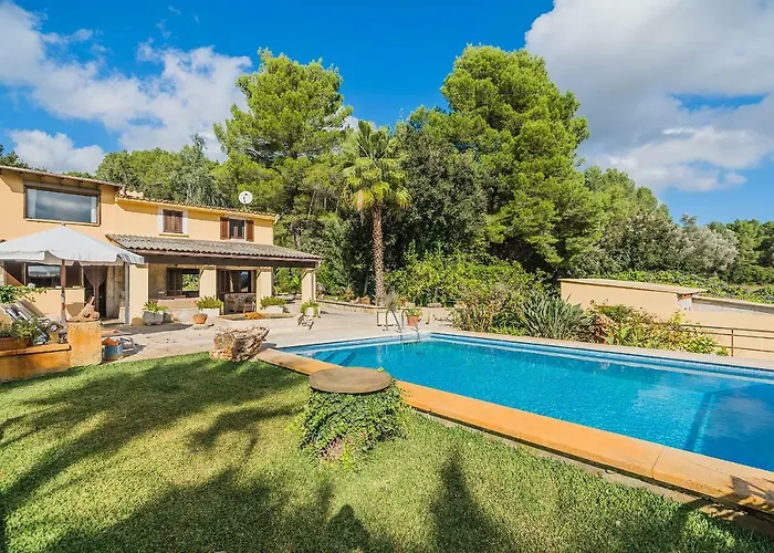 Enrique-pol72 Pollença